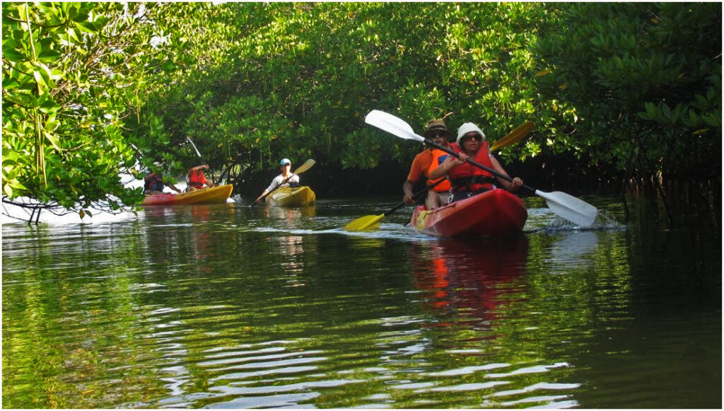 Kayaking in Havelock Island Andamans