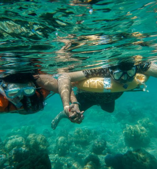 Snorkelling in Andamans